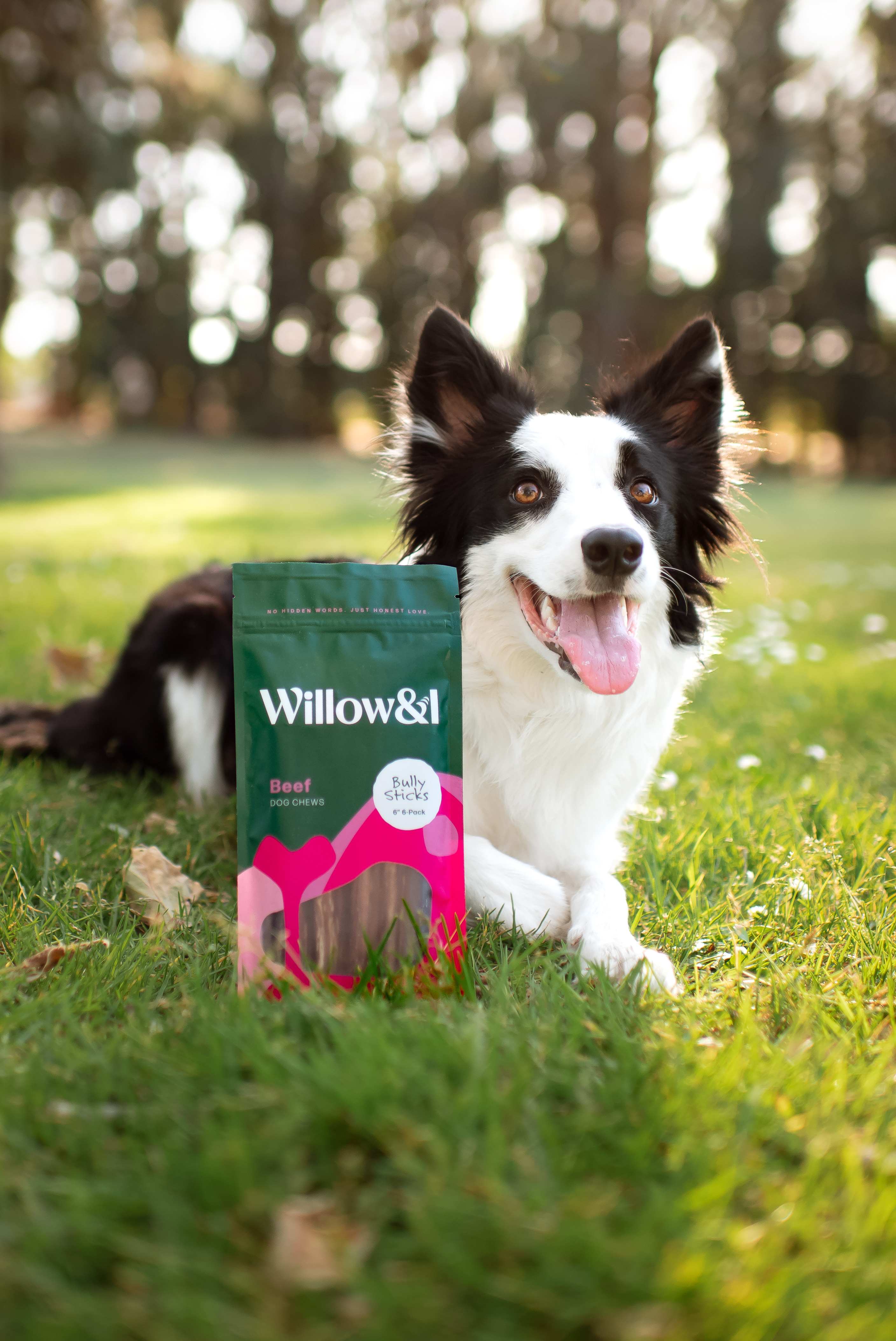 Wilow And I 6 Inch Bully Sticks