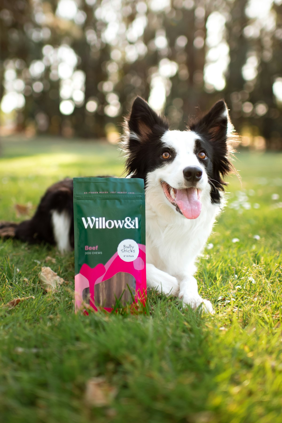 Willow & I Bully Sticks From Willow & I PetfoodIndustry