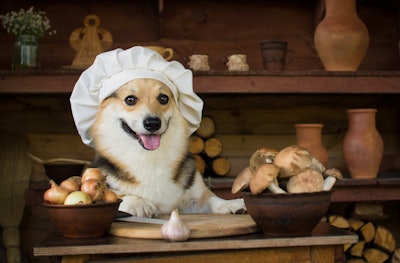A recent study shows Enifer’s PEKILO Pet mycoprotein boosts dog health by promoting beneficial probiotic bacteria and reducing cancer-linked bacteria.
