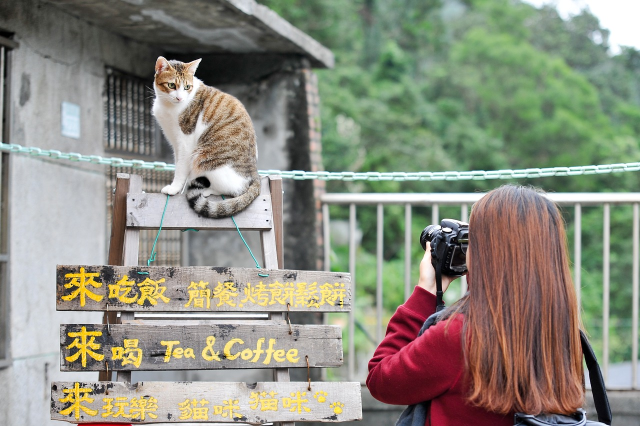 According to government data, Taiwan's 2023 pet population has grown to 1.48 million dogs and 1.31 million cats.