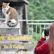 According to government data, Taiwan's 2023 pet population has grown to 1.48 million dogs and 1.31 million cats.