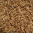 In January, Ynsect was granted authorization by AAFCO to use defatted mealworm proteins in dog food.