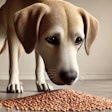 Dall·e 2024 11 04 15 09 59 A Realistic Image Of A Curious Dog Sniffing A Small Pile Of Lentils On The Ground The Dog Has A Gentle Expression, With Its Nose Close To The Lentils