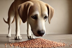 Dall·e 2024 11 04 15 09 59 A Realistic Image Of A Curious Dog Sniffing A Small Pile Of Lentils On The Ground The Dog Has A Gentle Expression, With Its Nose Close To The Lentils