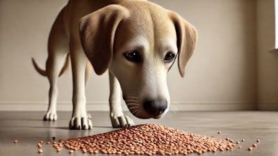 Dall·e 2024 11 04 15 09 59 A Realistic Image Of A Curious Dog Sniffing A Small Pile Of Lentils On The Ground The Dog Has A Gentle Expression, With Its Nose Close To The Lentils