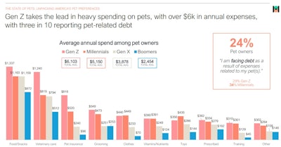 Gen Z Spending Slide