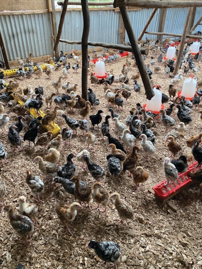 Through TRANSFORM, the IPC vision is directly helping farmers on the ground, particularly, in Kenya, India and Vietnam.