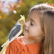Small pet trends are, unsurprisingly, evolving right alongside dog and cat trends as pet owners of all kinds focus on keeping their animals happy and healthy.