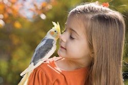 Small pet trends are, unsurprisingly, evolving right alongside dog and cat trends as pet owners of all kinds focus on keeping their animals happy and healthy.