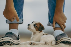 The India pet food market has experienced substantial growth over the past decade, fueled by increasing pet ownership, urbanization and rising disposable incomes.