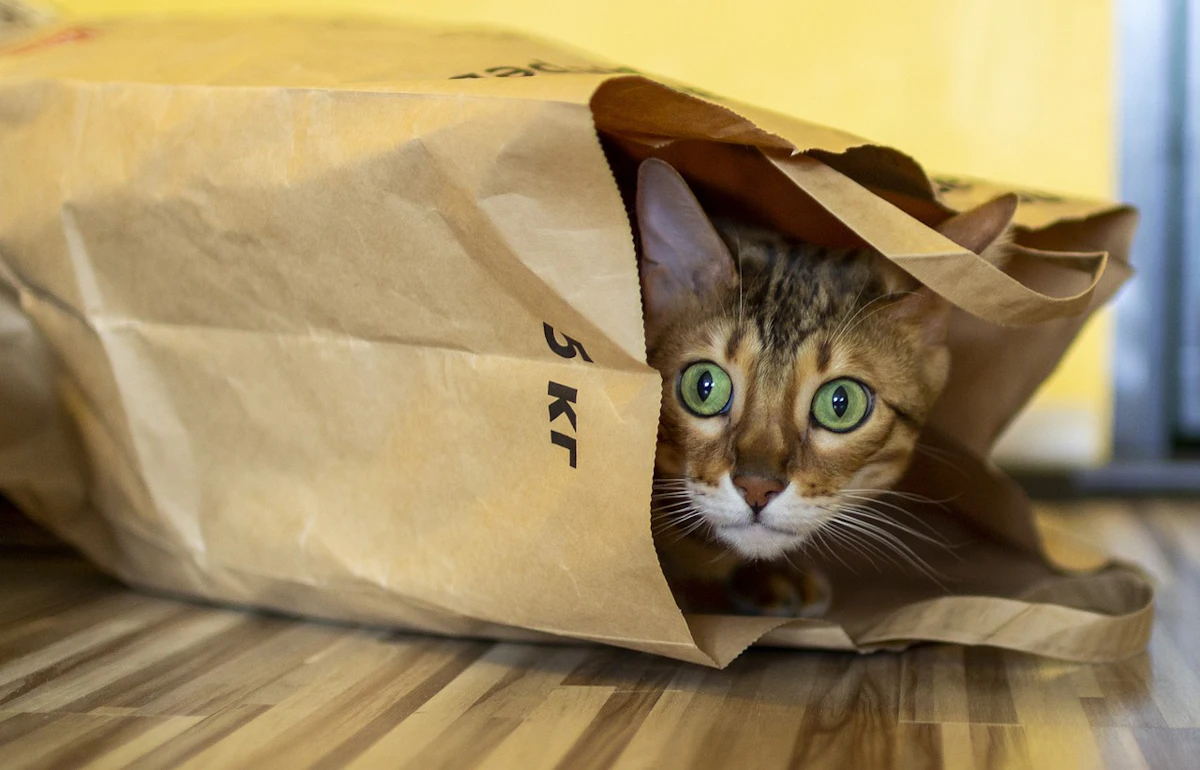 3 pet food packaging trends for 2025