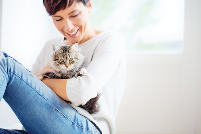 Cats are becoming more popular globally due to rising urbanization and more challenging economic times.