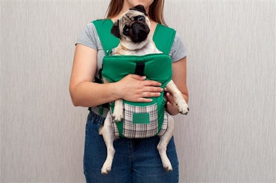 According to a recent Harris Poll, ‘Fur Families’ are the preferred lifestyle choice over having children in 2024, with pet parenthood having a strong foundation in American livelihoods.