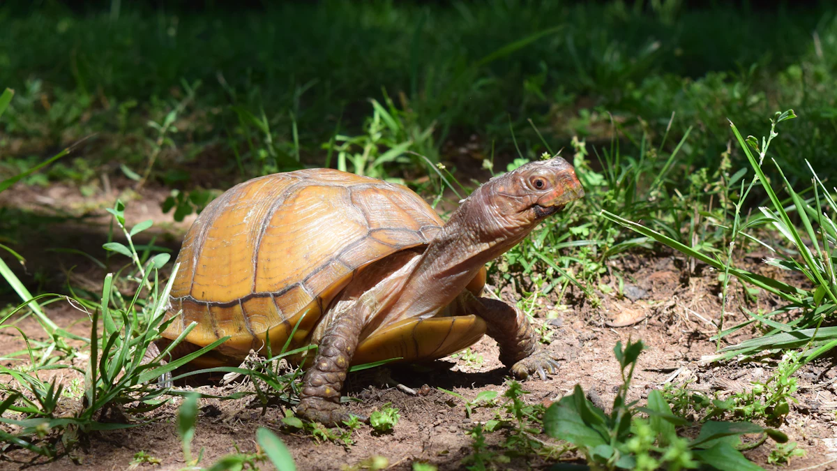 Healthy pet food is Blue Zone for cats, small dogs, reptiles and birds Healthy pet food is Blue Zone for cats, small dogs, reptiles and birds