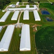 Robinson Farms raises about 500,000-600,000 birds every year in 10 barns.