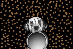 Volha Bilevich Dreamstime com Dalmation With Empty Bowl