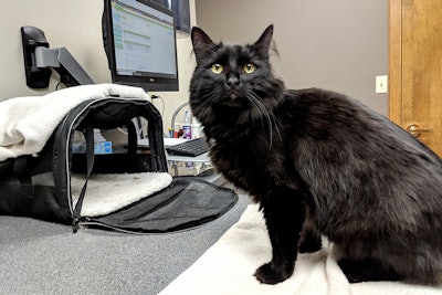 Purina's collaborations with vet schools will support research in emerging areas of pet health including healthy aging and mobility in dogs and GI issues in cats and dogs.
