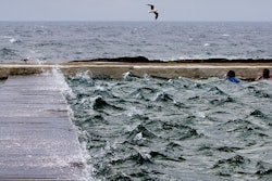 Pet food manufacturers and retailers across the eastern part of the EU complain the market is far from its best shape.