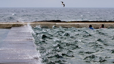 Pet food manufacturers and retailers across the eastern part of the EU complain the market is far from its best shape.