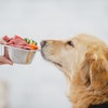 A majority of U.S. pet owners consider pet food an important health product for their furry family members.