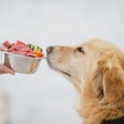 A majority of U.S. pet owners consider pet food an important health product for their furry family members.
