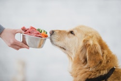 A majority of U.S. pet owners consider pet food an important health product for their furry family members.