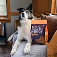 Reál Mesa’s goal is to provide pet owners with Mediterranean-inspired food and treat options to thrill their dogs while maintaining an accessible price point to meet their practical needs, as well.