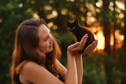 Woman Holding Black Kitten Vikkibilan Pixabay