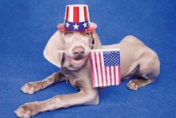 Everyone agrees that their pets are the best — but when it comes to politics, there are some differences in shopping channel preferences.