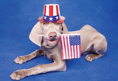 Everyone agrees that their pets are the best — but when it comes to politics, there are some differences in shopping channel preferences.