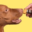 Fetch! Dog Treats