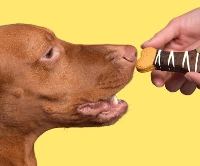 Fetch! Dog Treats