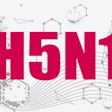 H5 N1