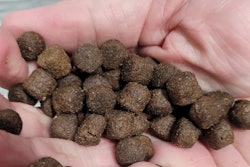 This milestone marks a critical step in IPN's ongoing commitment to environmental responsibility and innovation in waste management.