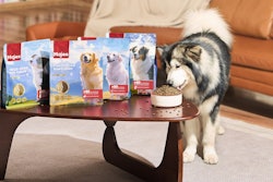 Majes offers premium pet products from high-quality dog food, cat food, and supplements tailored for the unique needs of pets in tropical climates.