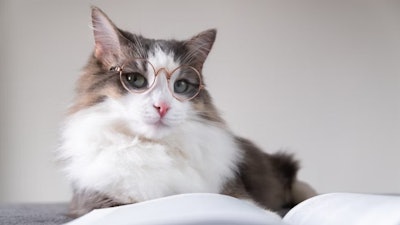 The Pet Food Institute (PFI) reiterates its support of the PURR Act, federal legislation that would modernize and streamline how pet food is regulated.