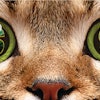 Pet owners are demanding more and more of pet food, making it essential for the pet industry to understand what makes consumers want to spend their hard-earned money.