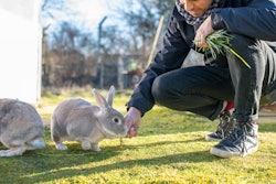The Human Animal Bond Research Institute awards grant to the University of Liverpool to research the impact of adopting small animals on pet owner wellbeing.