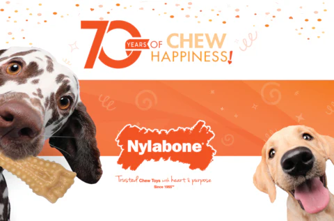 Nylabone celebrates 70 years by promoting dog adoptions Nylabone celebrates 70 years by promoting dog adoptions
