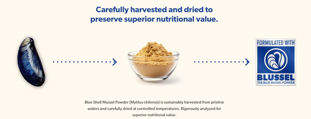Blussel Blue Mussel Powder