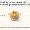 Blussel Blue Mussel Powder