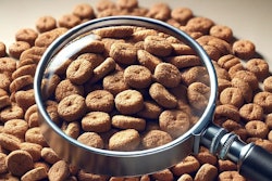 Dall·e 2025 02 19 13 39 28 A Close Up Image Of A Single Piece Of Dog Food Kibble Under A Magnifying Glass The Kibble Is Highly Detailed, Showing Its Rough Texture And Small Por