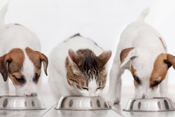 For the Pet Food Institute (PFI) and its members, the safety of pet food is of the highest priority.