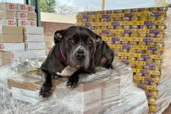 The donation from Wellness Pet was made to support shelters caring for pets affected by the fires.