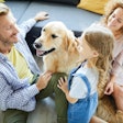 Pets are undeniably part of peoples’ families, but what does that translate to in terms of things like identity and long-term ownership?