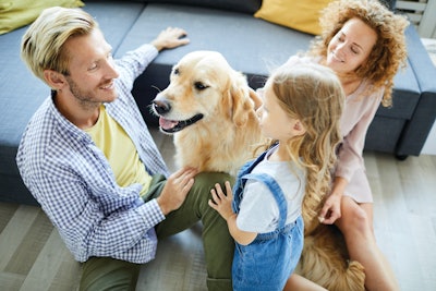 Pets are undeniably part of peoples’ families, but what does that translate to in terms of things like identity and long-term ownership?