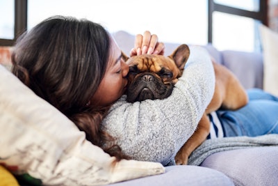 Pet Dog With Owner