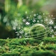 Sustainability isn’t going anywhere in the pet food industry, and will in fact continue to evolve in 2025.