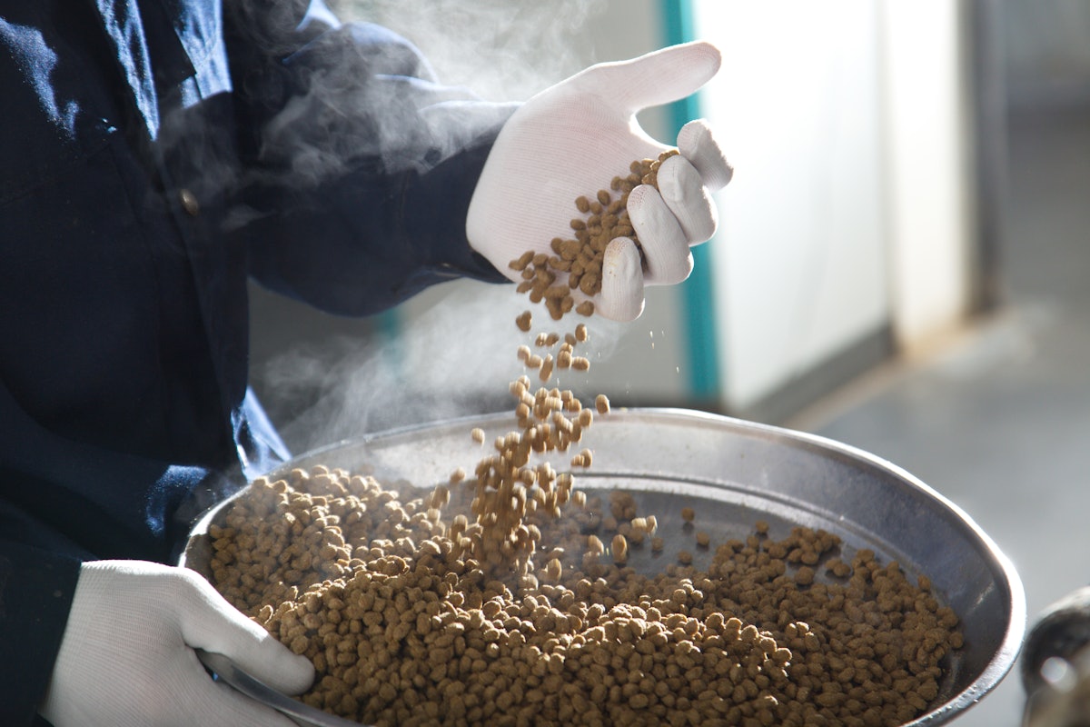 Kormotech reports 3M revenue, plans expansion in Eastern Europe