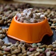 Today's pet parents frequently switch between wet and dry food, and biotics can help ease the gastrointestinal stress that may result from the change.